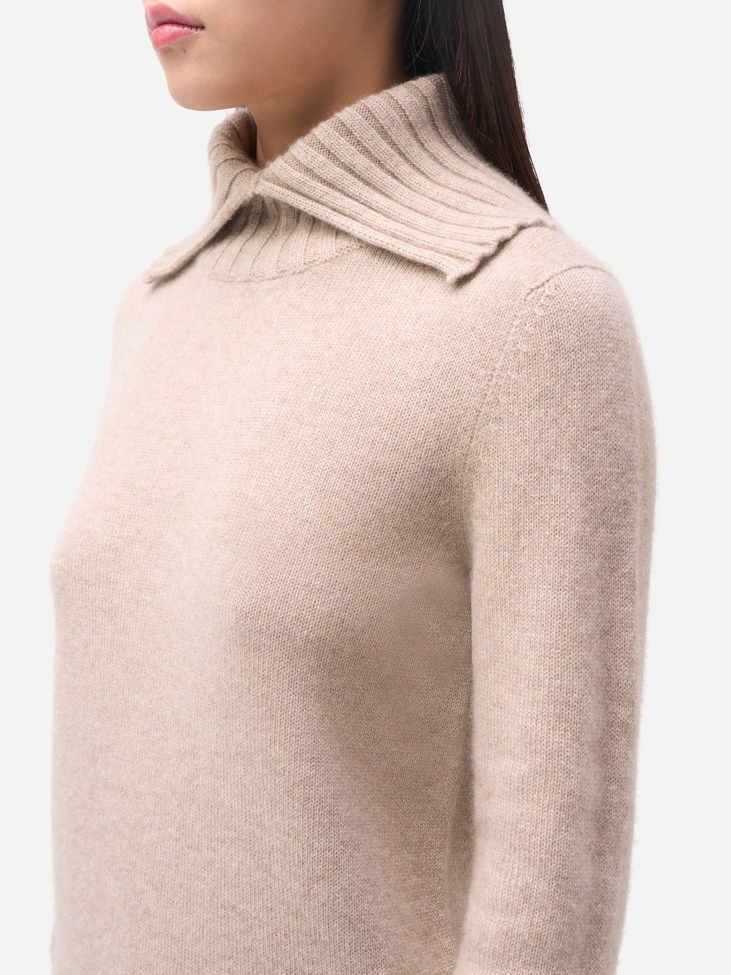 Pull en Cachemire à Col Roulé Replié Couleur Organique